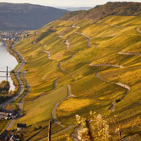 Winzerhaus 1658 - Und Zeltingen-Rachtig