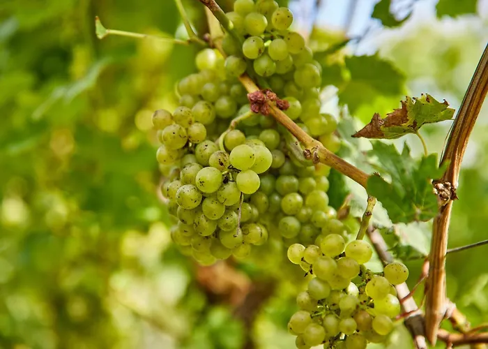 Winzerhaus 1658 - Und *