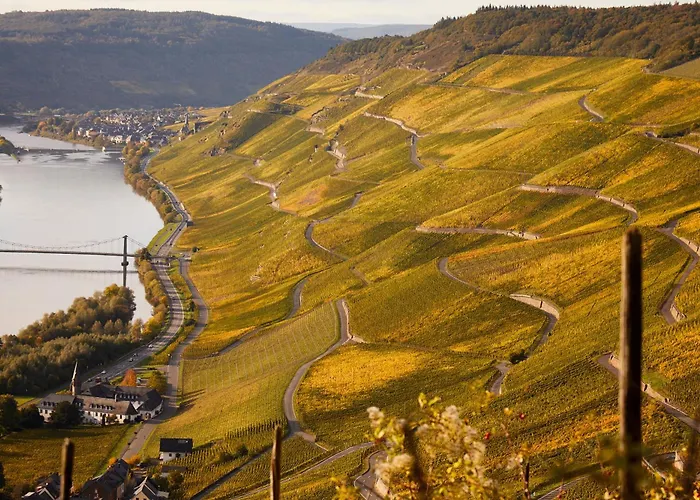 Winzerhaus 1658 - Und Zeltingen-Rachtig